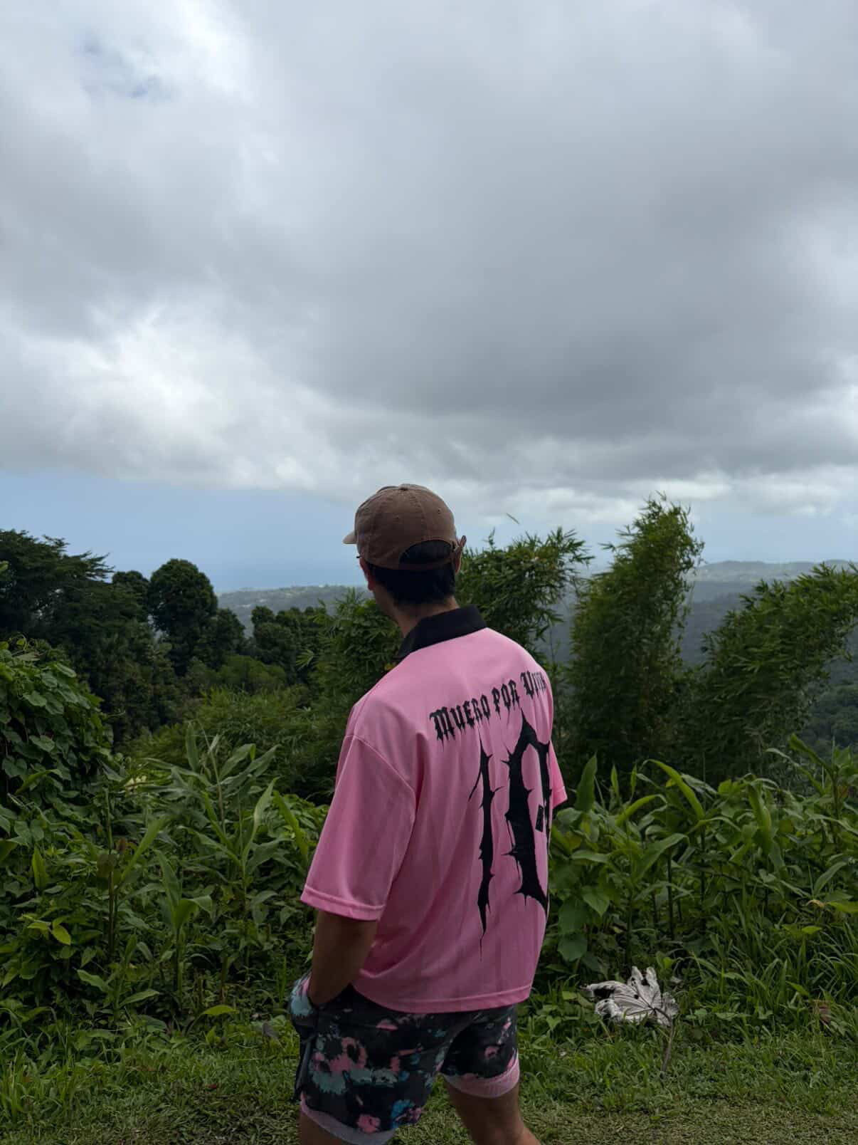 DE AQUI Y DE ALLA ROSA